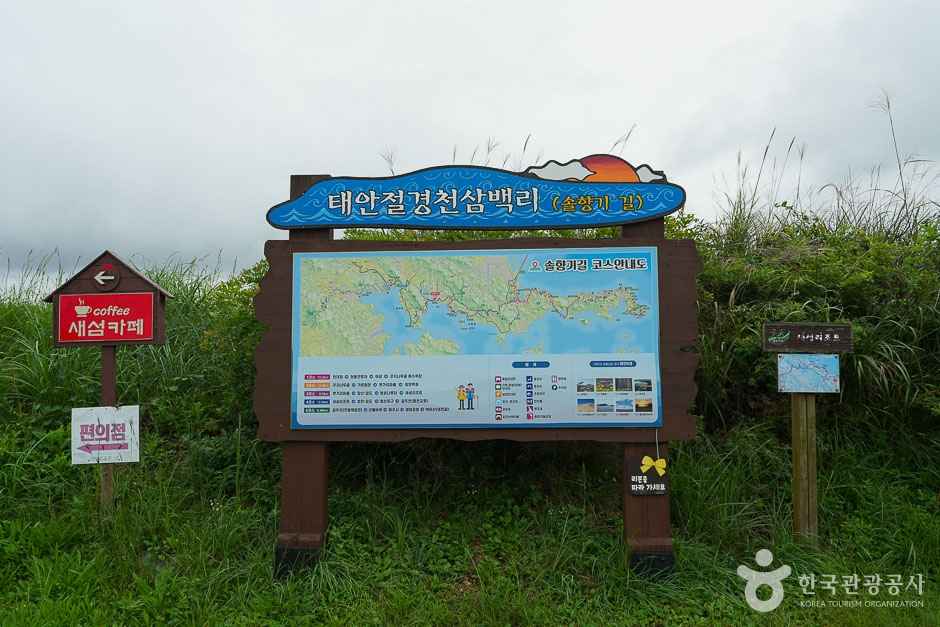 솔향기길 4코스 이미지 2