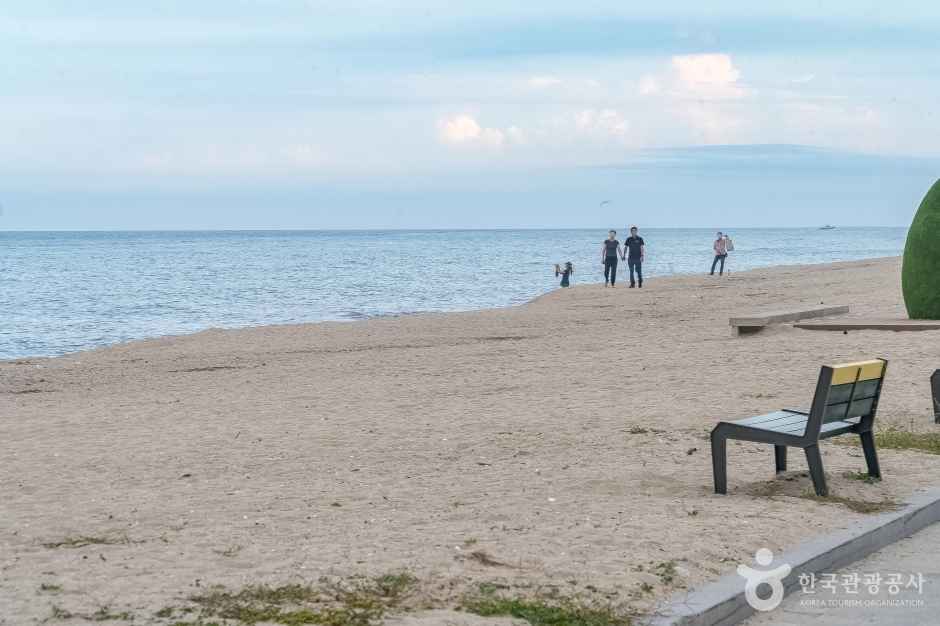 연곡해변(연곡해수욕장) 이미지 3