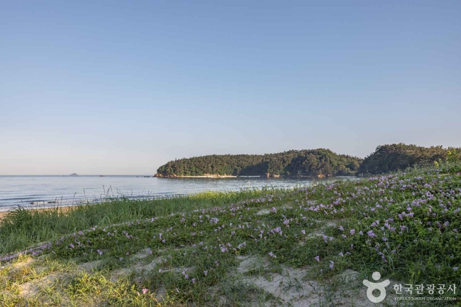장삼포해수욕장 이미지 1