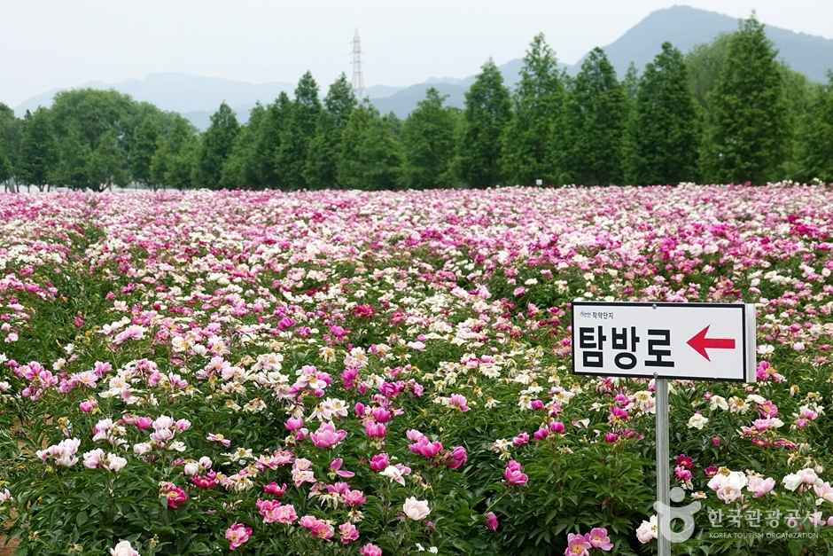 핫들생태공원 이미지 2