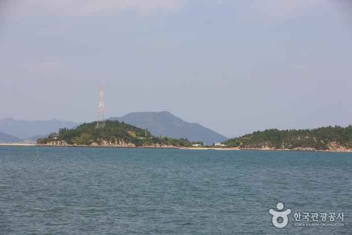 진지도 이미지 2
