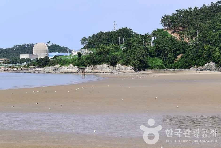 가마미해수욕장 이미지 6