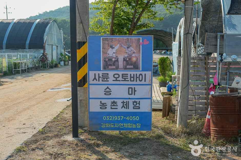 강화도 자연체험농장 이미지 5