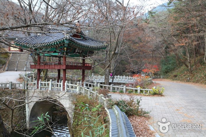 천은사(구례) 이미지 6