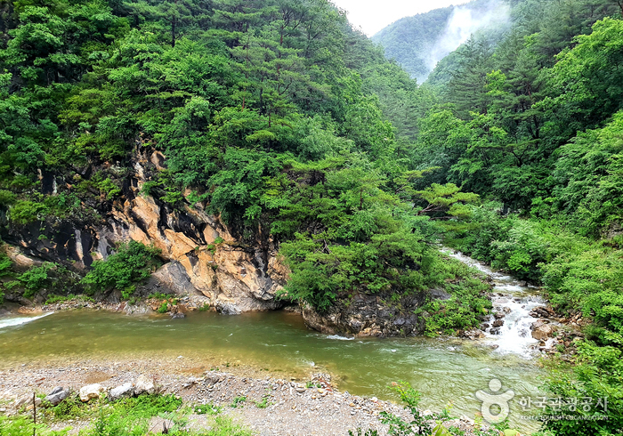 덕산기 계곡 이미지 1
