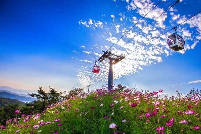 목포 해상케이블카 이미지 4