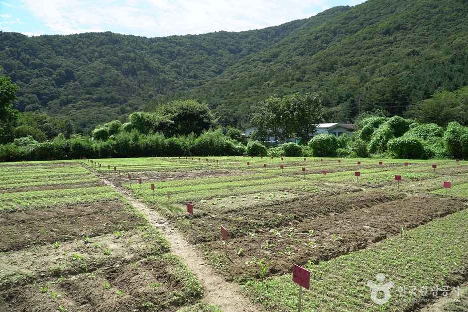 소소리농장 이미지 5