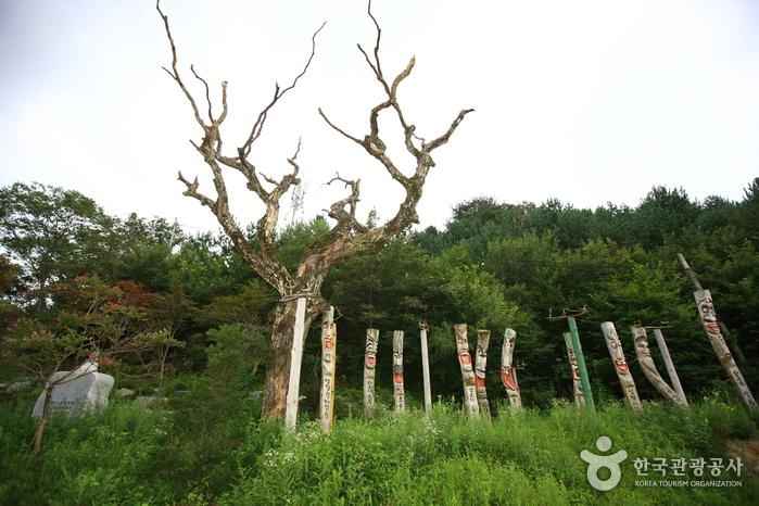 오도재와 지리산조망공원 이미지 7