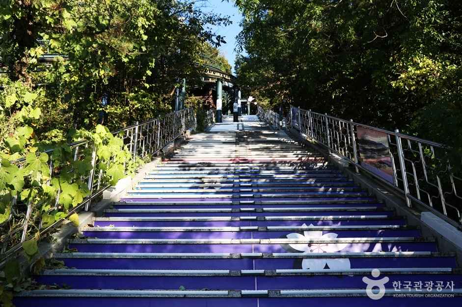 제황산공원모노레일카 이미지 7