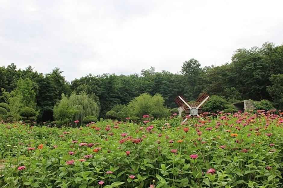 무릉도원수목원 이미지 2