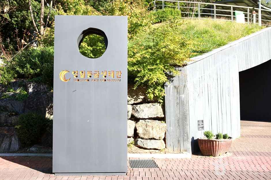 영월 동굴생태관 이미지 1