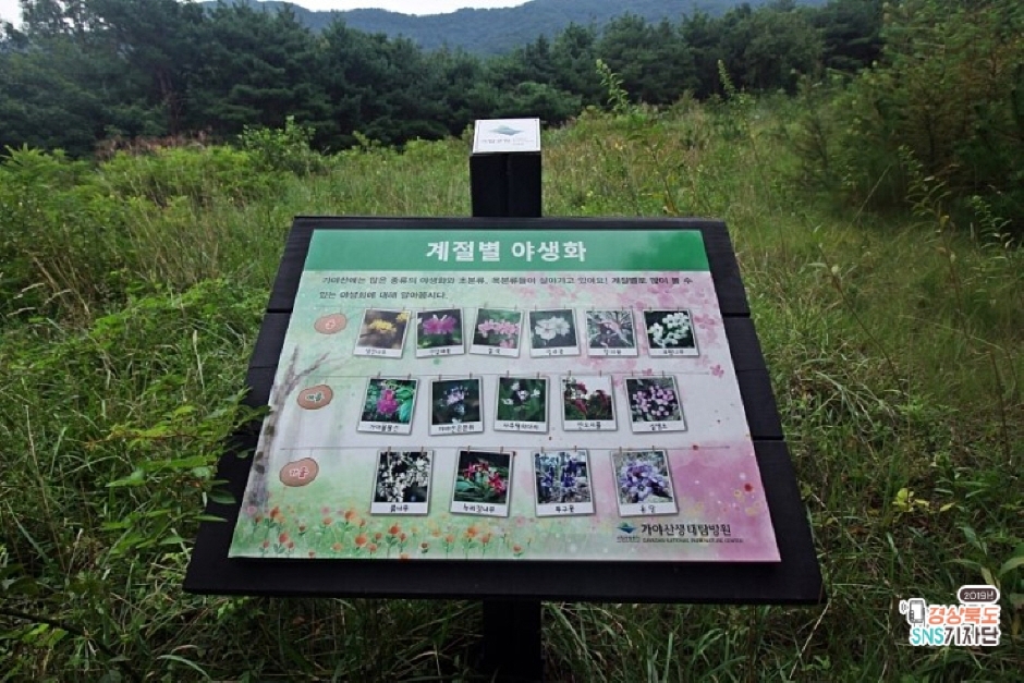 국립공원 가야산생태탐방원 이미지 6