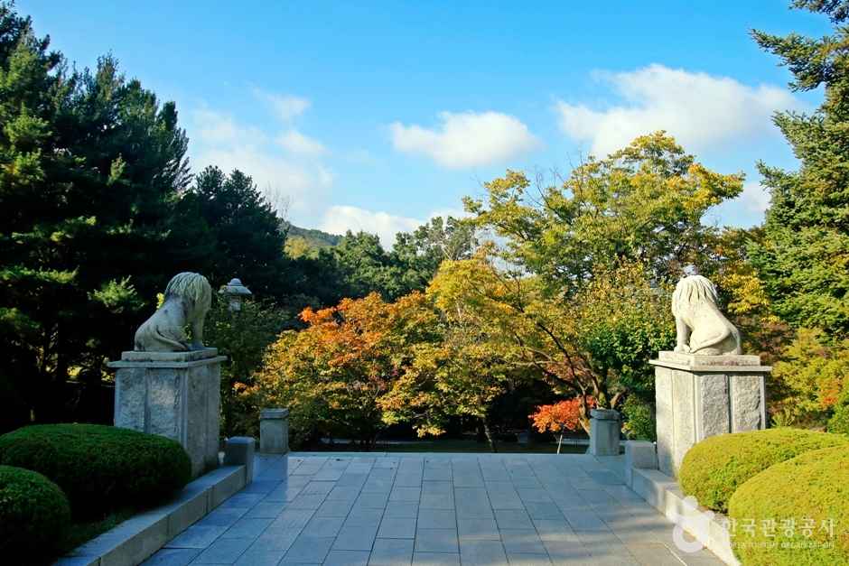 보문산 행복 숲 둘레길 이미지 5