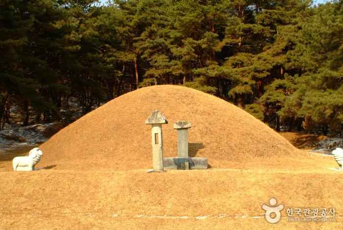 전사벌왕릉 이미지 1