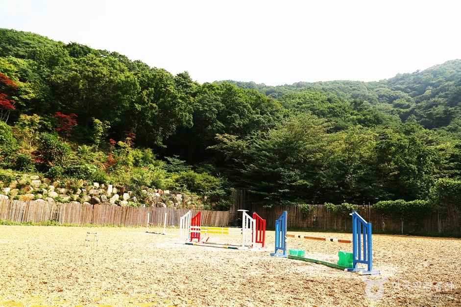 바모스승마클럽 이미지 2