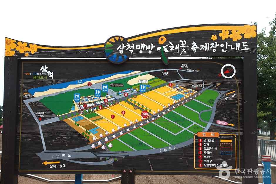 삼척 맹방유채꽃 마을 이미지 6