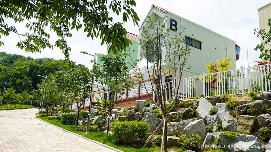 용인자작나무숲 이미지 6