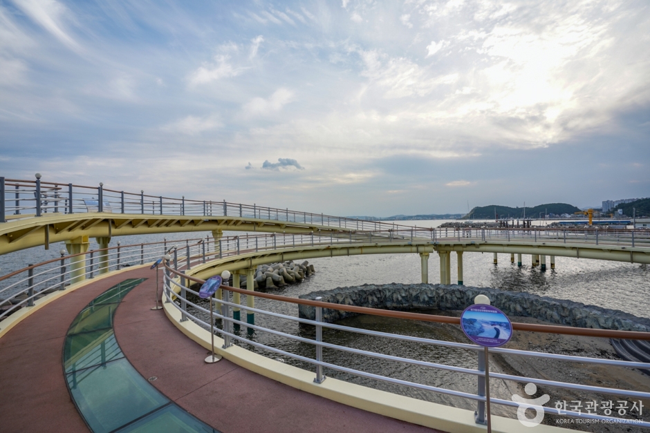 포항 해상스카이워크 이미지 3