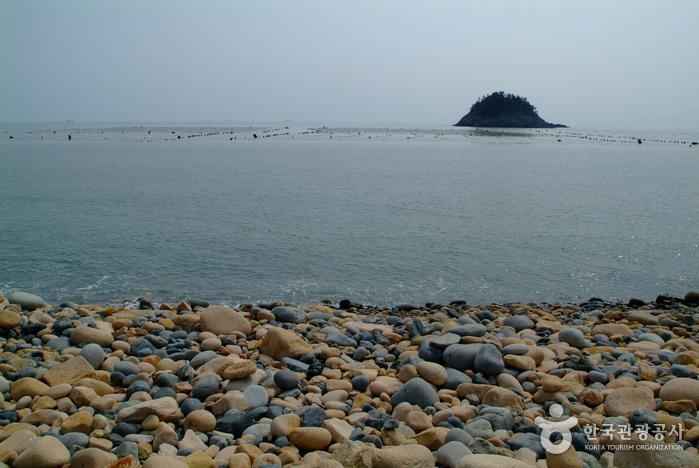 보옥리 공룡알해변 이미지 3