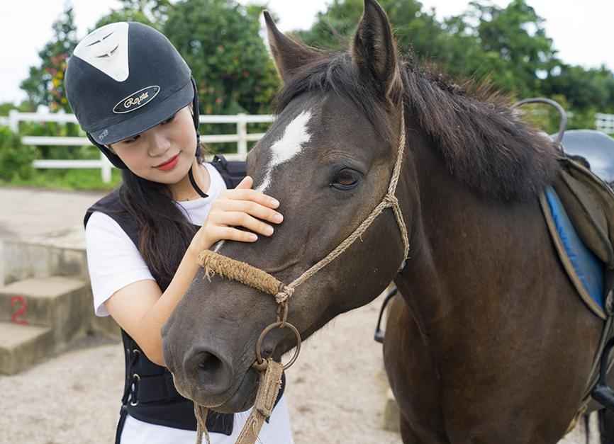 성읍랜드 이미지 5
