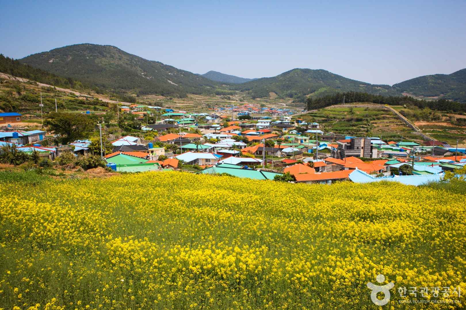 청산도 이미지 3