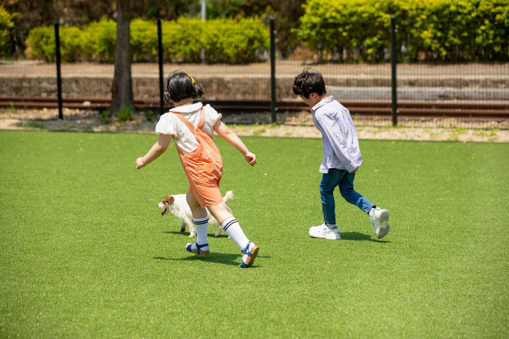강촌레일파크경강레일바이크 이미지 5