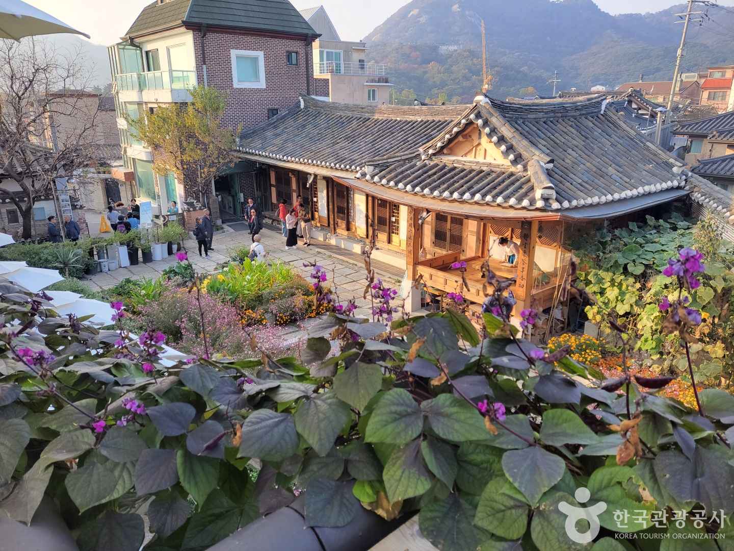 북촌동양문화박물관 이미지 2