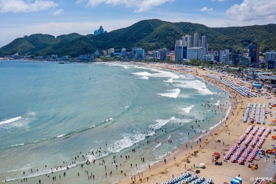 송정해수욕장 이미지 4