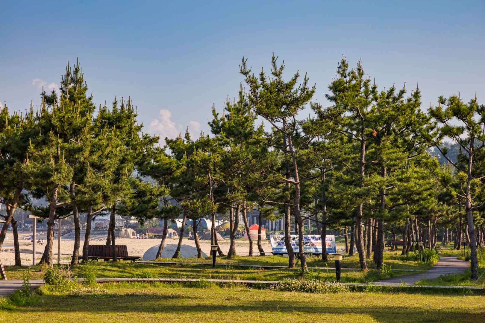동산포해수욕장 이미지 6