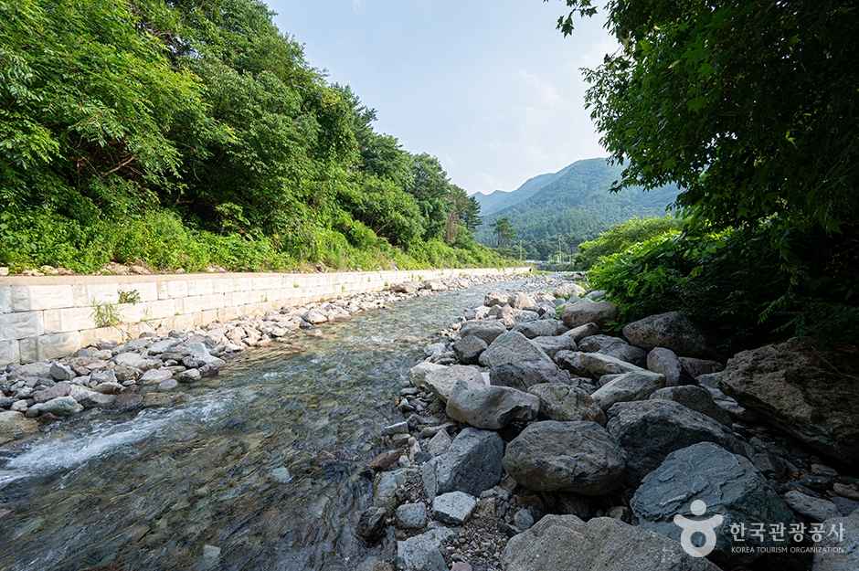 지장계곡 이미지 7