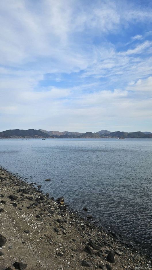 화포해변 이미지 6