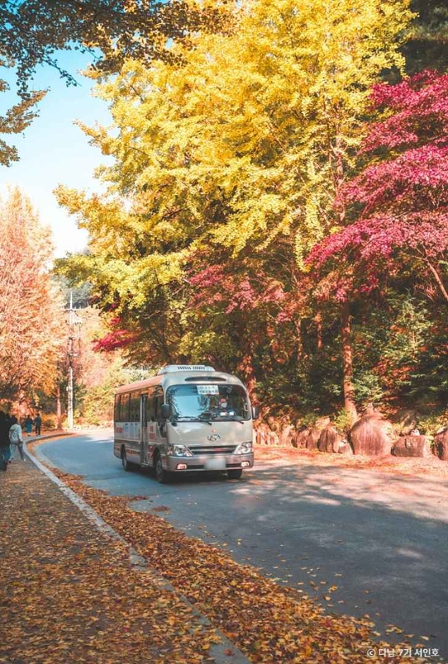 단양 보발재 이미지 6