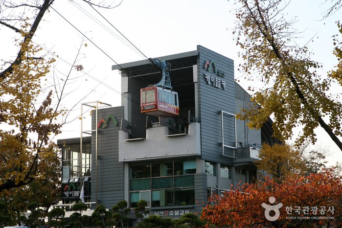 남산 케이블카 이미지 5