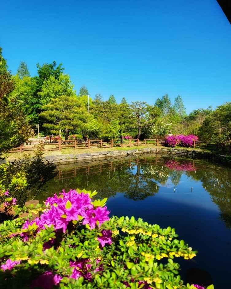 성남시 식물원 이미지 6