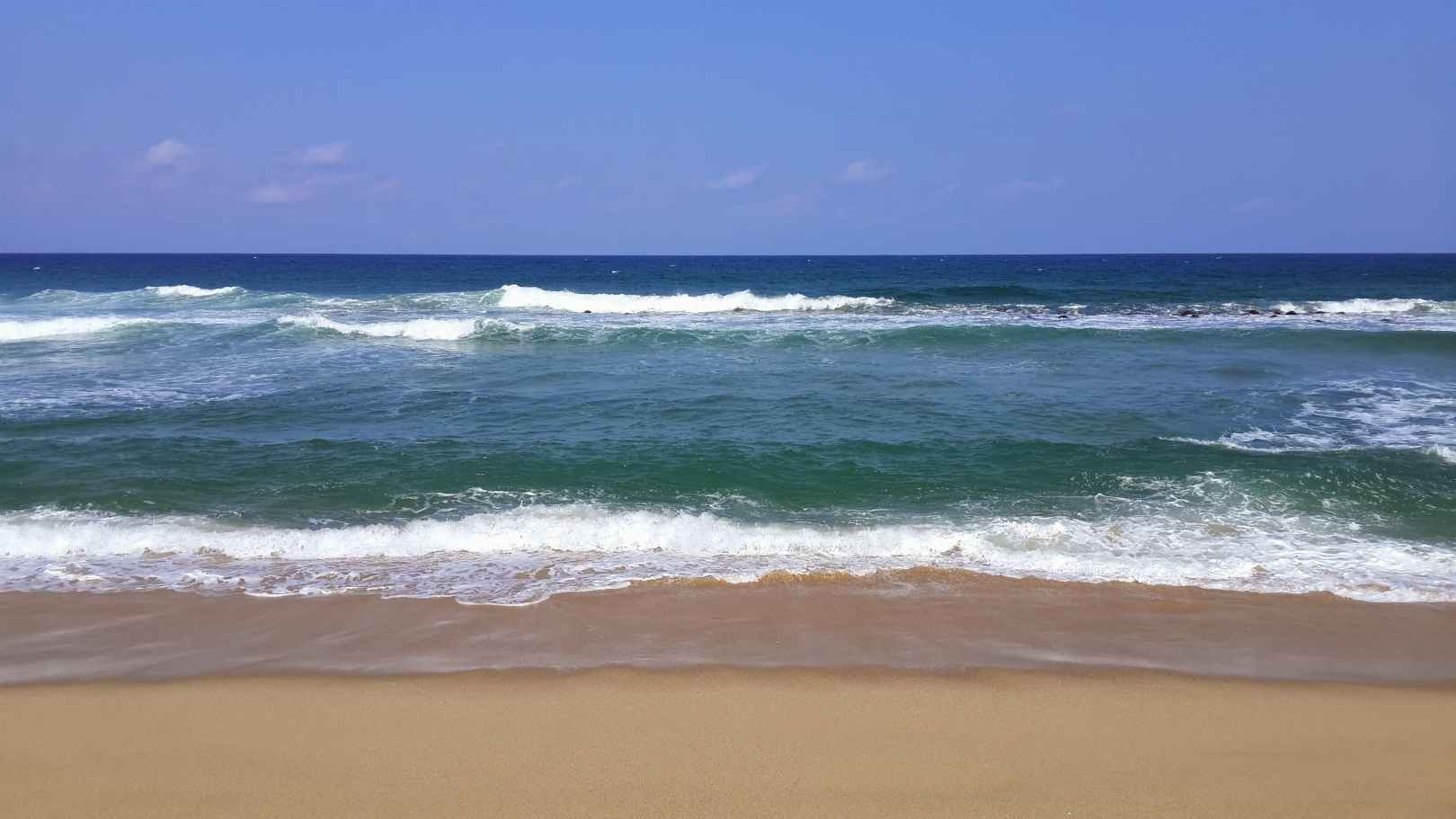 안목해변 이미지 7