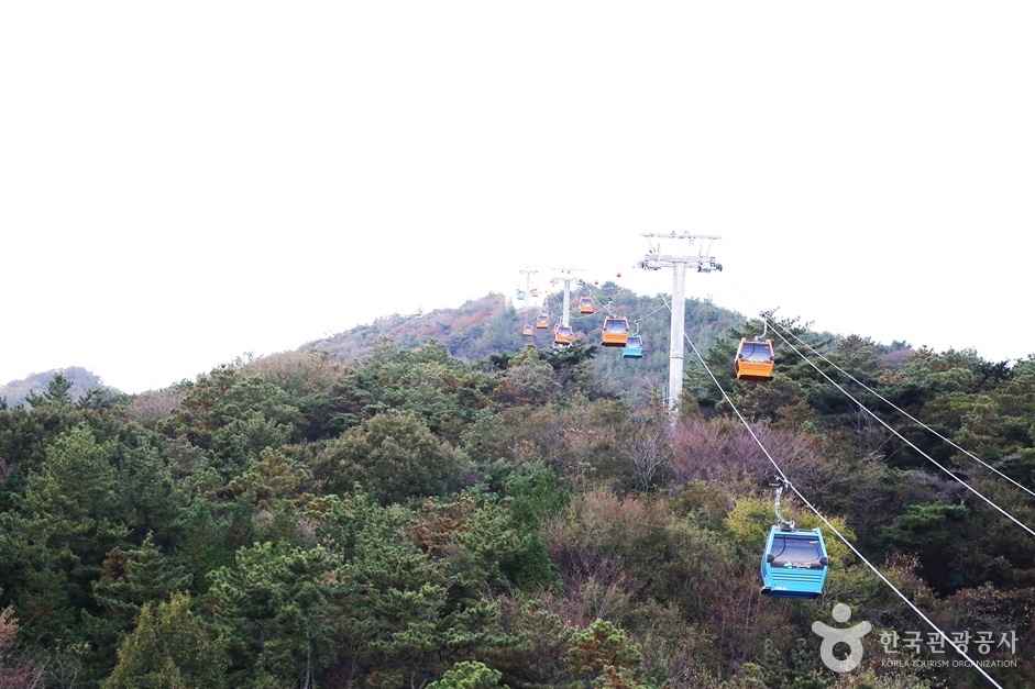 플라이웨이 케이블카 이미지 1