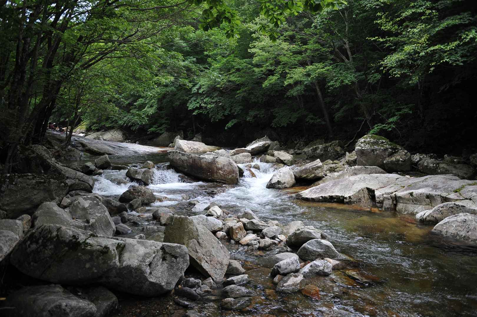구천동계곡 이미지 5