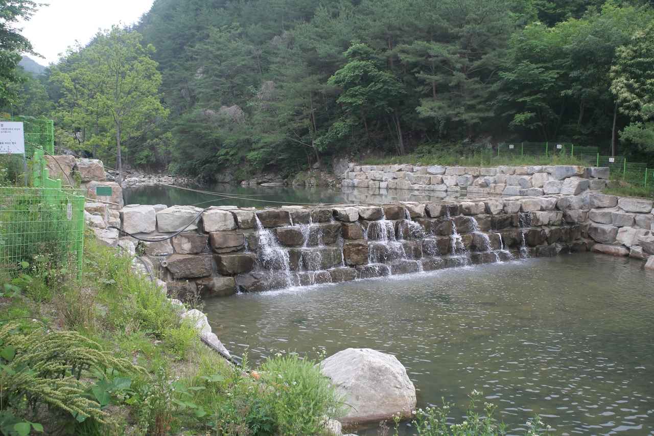 선유동계곡(산청) 이미지 1
