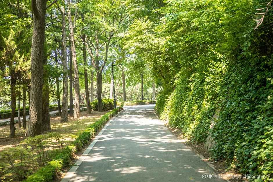 남산 야외식물원 이미지 3