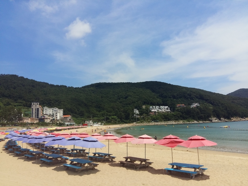 와현모래숲해변 이미지 2