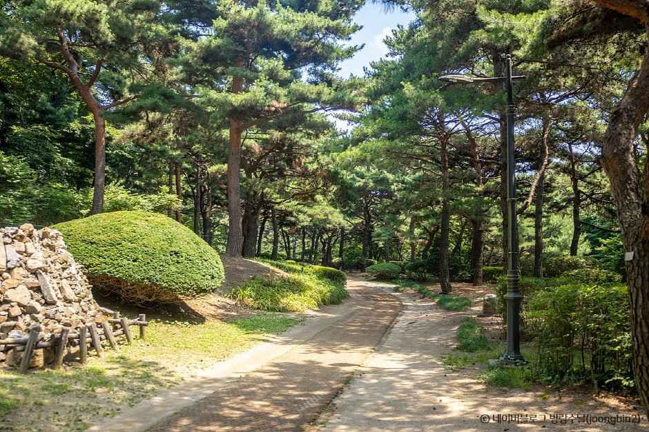 남산 야외식물원 이미지 1