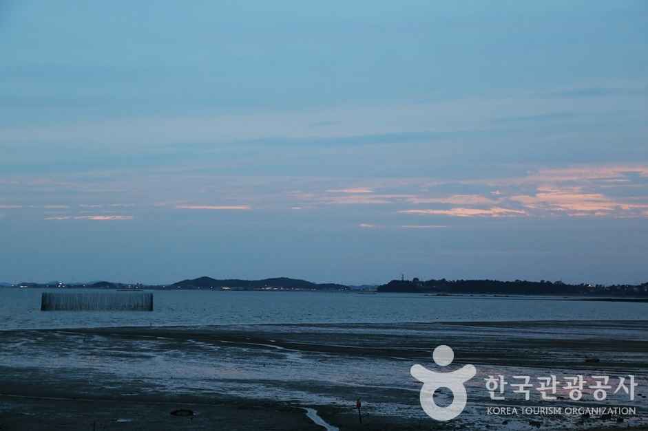 궁평리 해수욕장 이미지 5