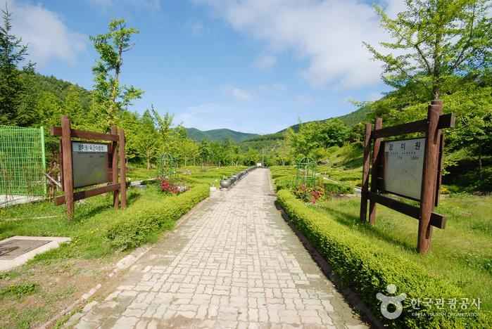 경상북도수목원 이미지 5