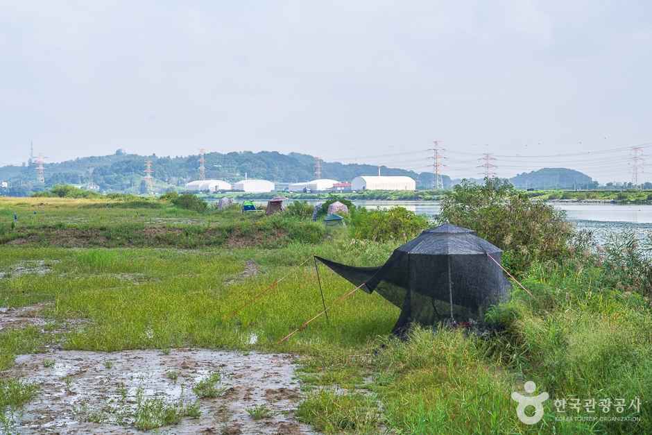 쌀조개섬 이미지 3