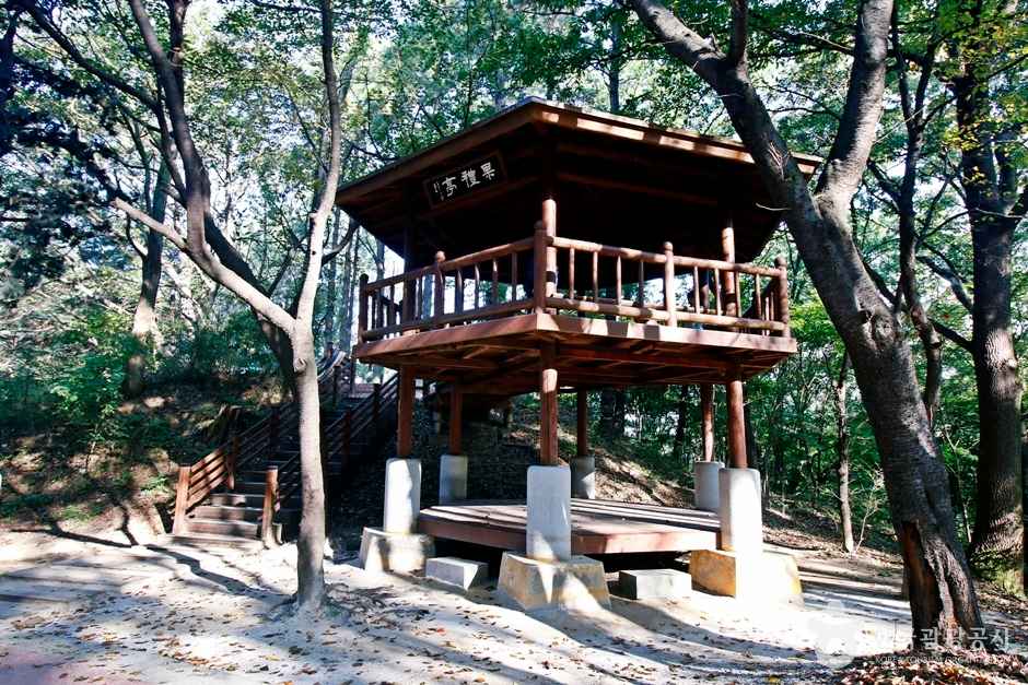 보문산 행복 숲 둘레길 이미지 1