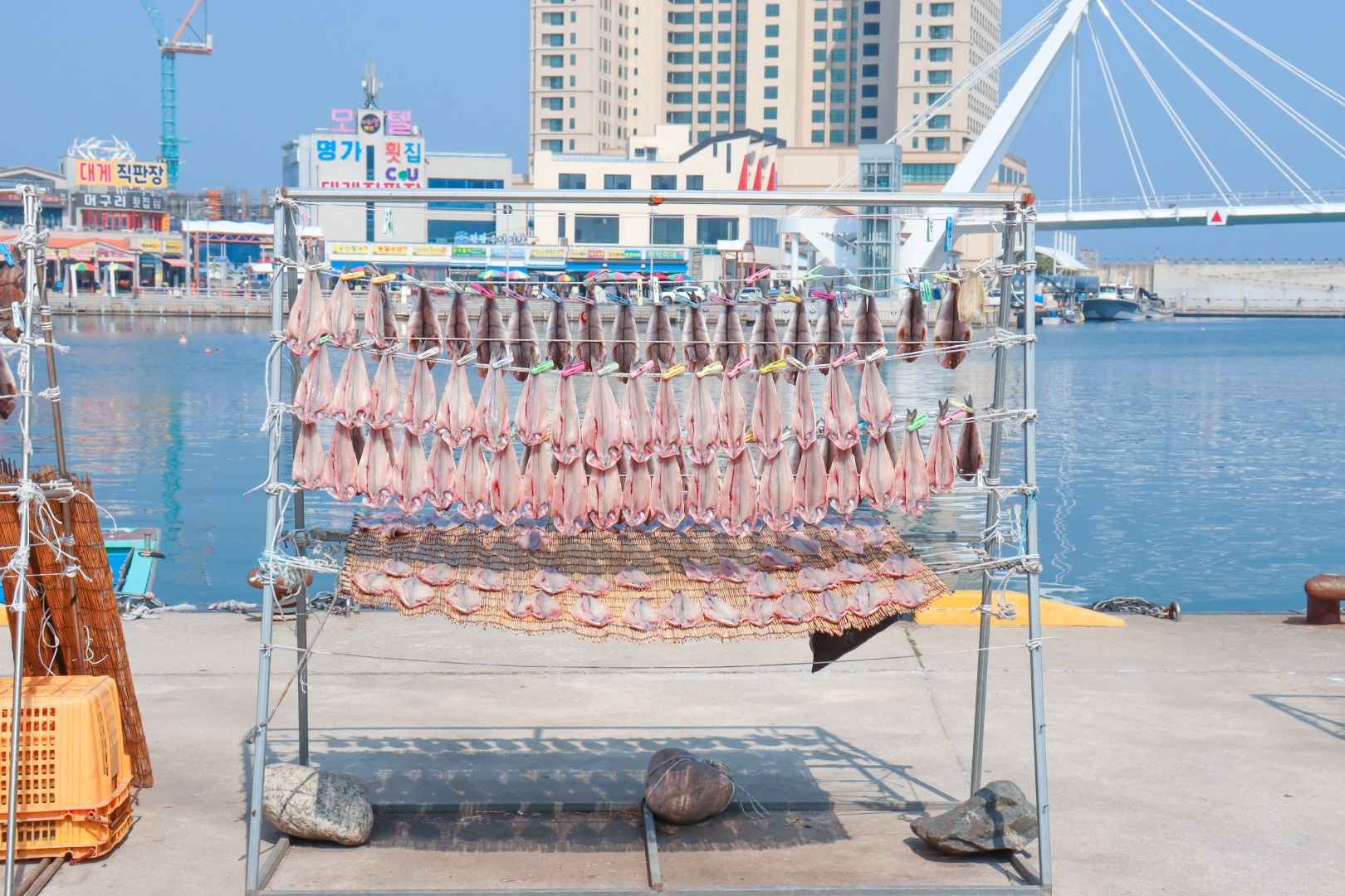 대포항 전망대 이미지 6