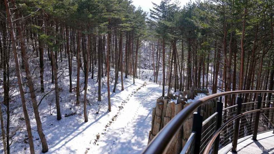 태백산 국립공원 이미지 7