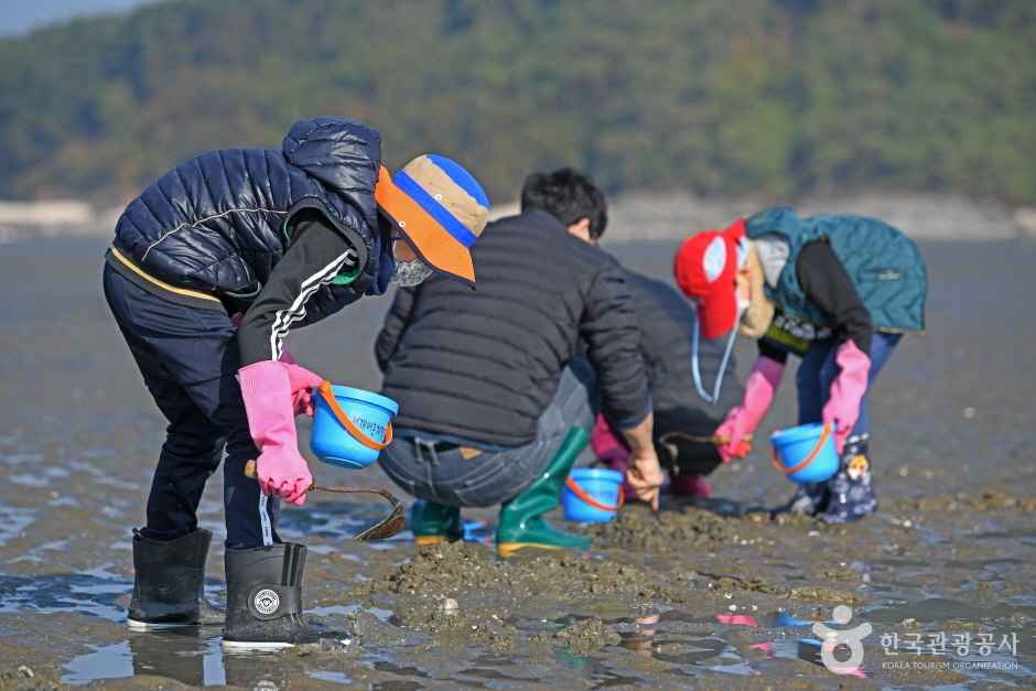 선재도(선재도 어촌체험마을) 이미지 1