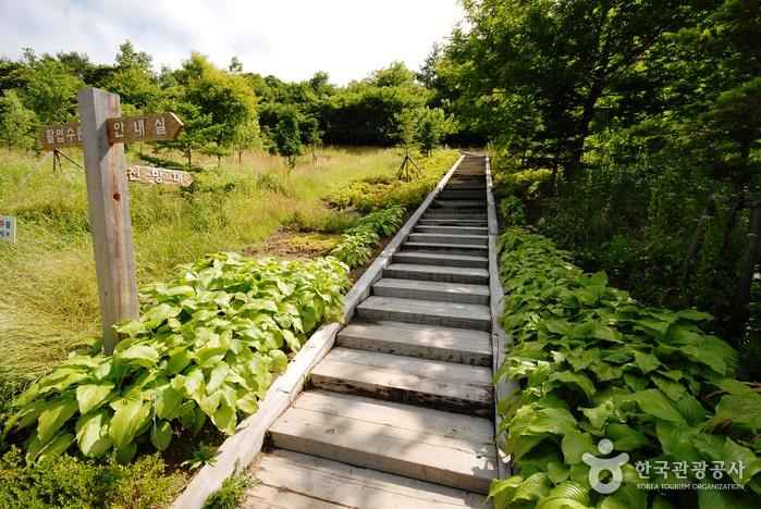 경상북도수목원 이미지 3