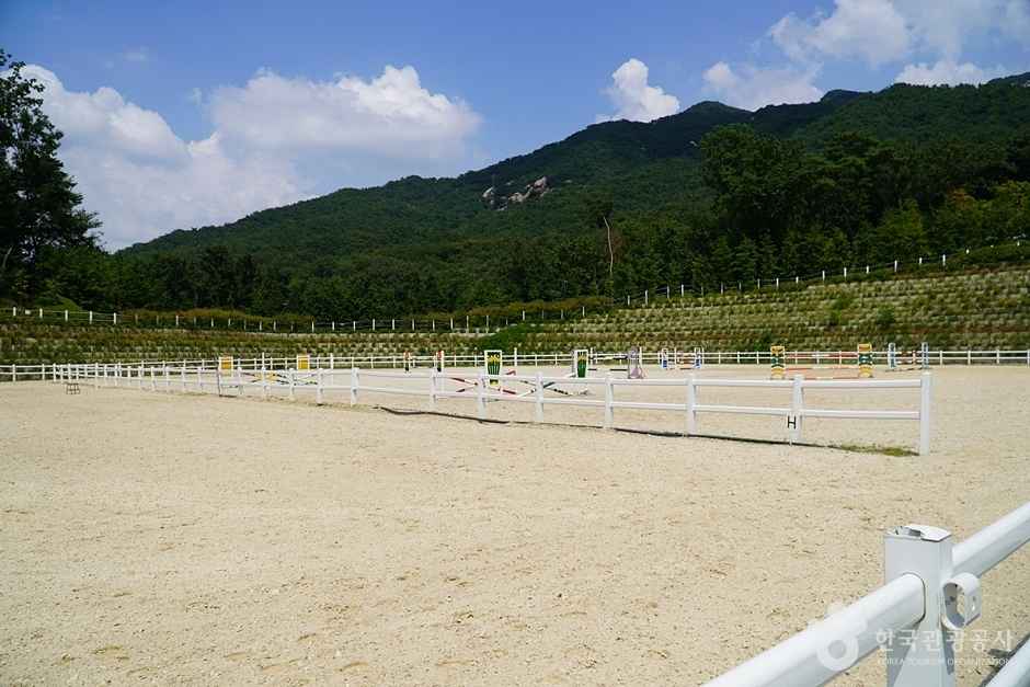 서울승마클럽 이미지 6